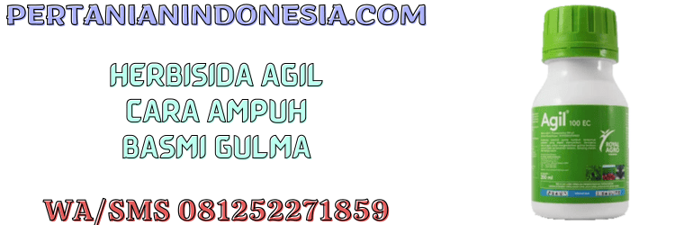 herbisida,agil,agil 100 ec,royal agro,pertanian indonesia